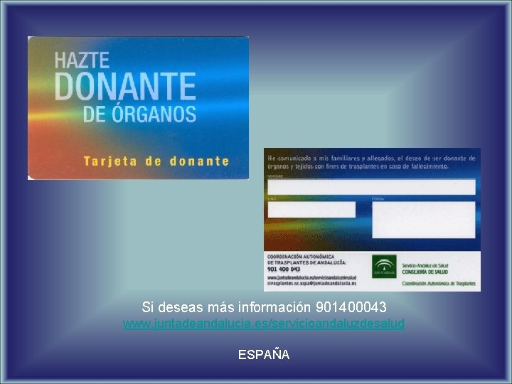 Si deseas más información 901400043 www. juntadeandalucia. es/servicioandaluzdesalud ESPAÑA 