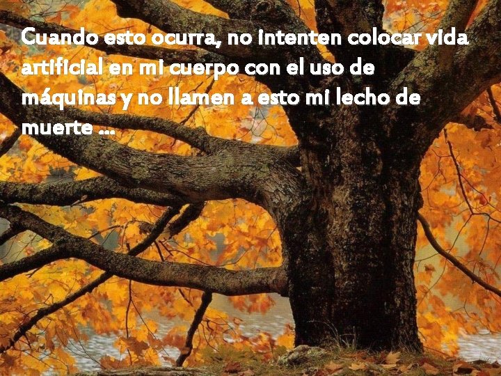 Cuando esto ocurra, no intenten colocar vida artificial en mi cuerpo con el uso