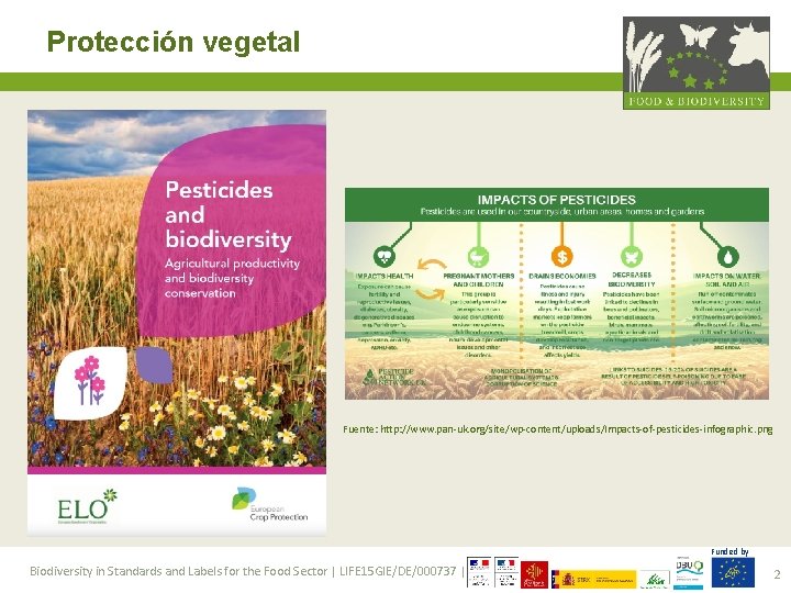 Protección vegetal Fuente: http: //www. pan-uk. org/site/wp-content/uploads/Impacts-of-pesticides-infographic. png Funded by Biodiversity in Standards and
