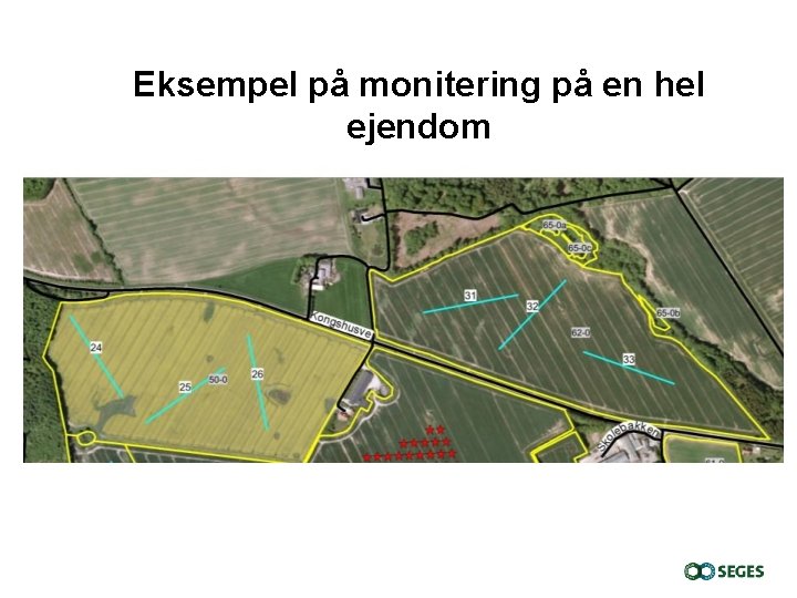 Eksempel på monitering på en hel ejendom 