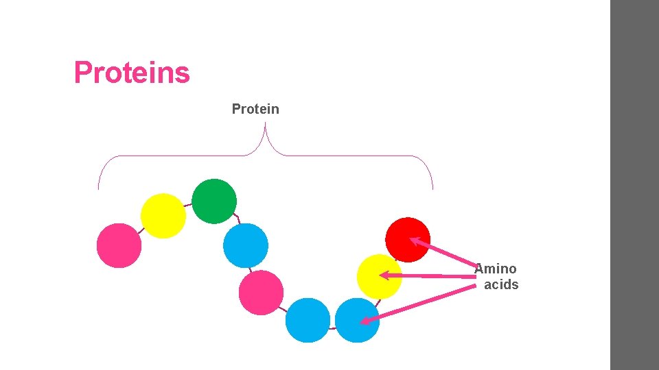 Proteins Protein Amino acids 