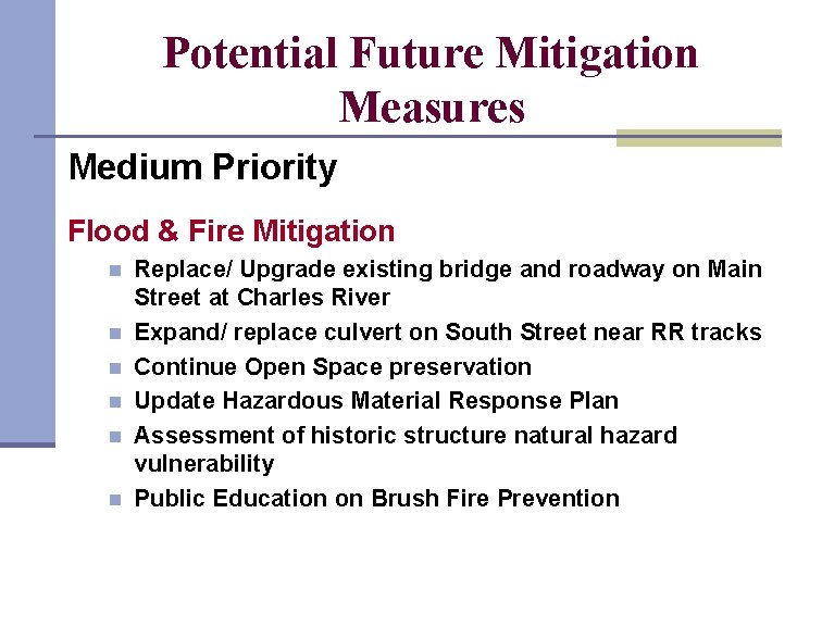 Potential Future Mitigation Measures Medium Priority Flood & Fire Mitigation n n n Replace/