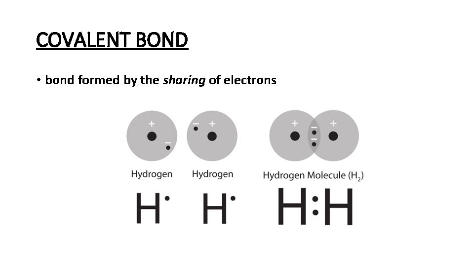 COVALENT BOND • bond formed by the sharing of electrons 