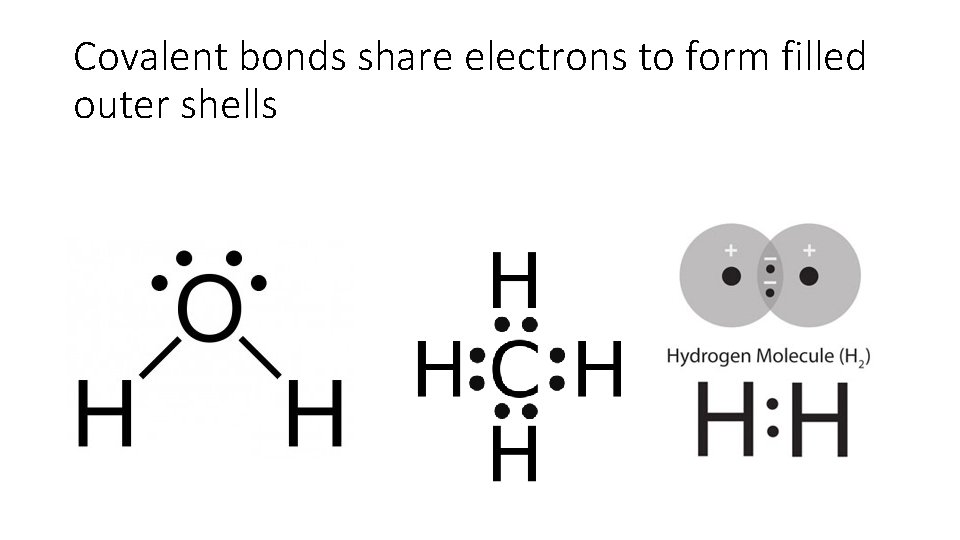 Covalent bonds share electrons to form filled outer shells 