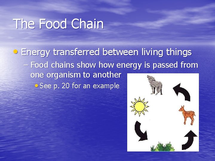 The Food Chain • Energy transferred between living things – Food chains show energy