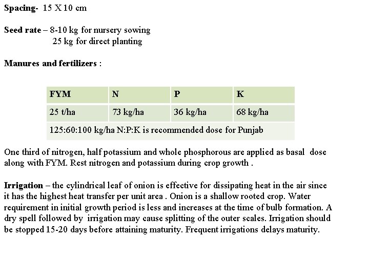 Spacing- 15 X 10 cm Seed rate – 8 -10 kg for nursery sowing