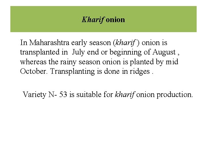 Kharif onion In Maharashtra early season (kharif ) onion is transplanted in July end