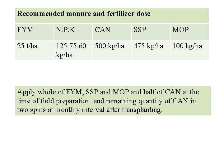 Recommended manure and fertilizer dose FYM N: P: K CAN SSP MOP 25 t/ha