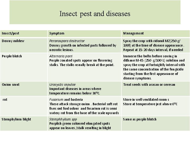 Insect pest and diseases Insect/pest Symptom Management Downy mildew Peronospora destructor Downy growth on