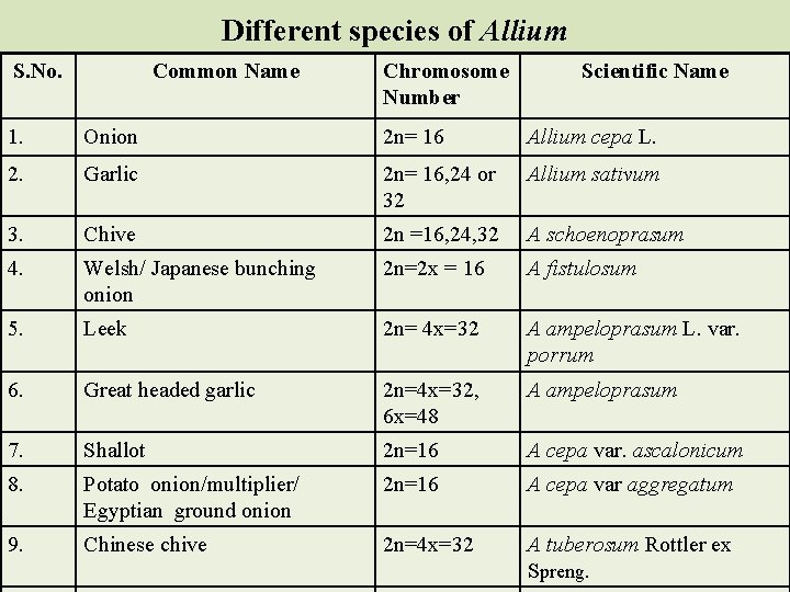 Different species of Allium S. No. Common Name Chromosome Number Scientific Name 1. Onion