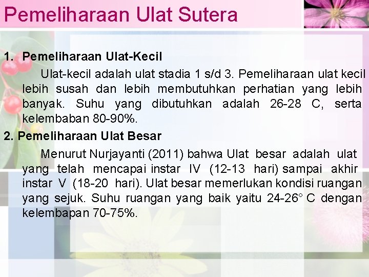 Pemeliharaan Ulat Sutera 1. Pemeliharaan Ulat-Kecil Ulat-kecil adalah ulat stadia 1 s/d 3. Pemeliharaan