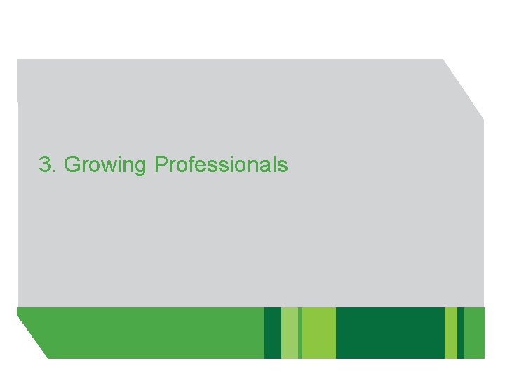 3. Growing Professionals 