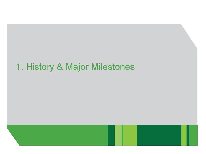 1. History & Major Milestones 