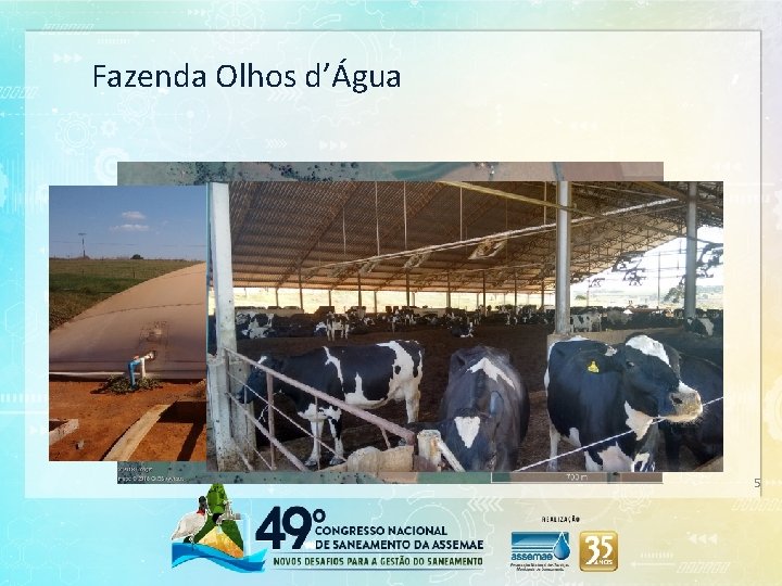 Fazenda Olhos d’Água 5 