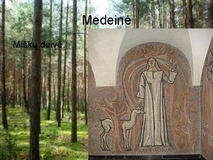 Medeinė Miškų deivė. 