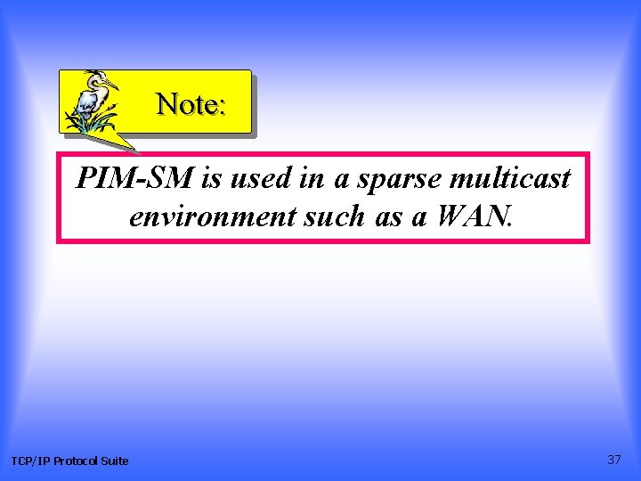 Note: PIM-SM is used in a sparse multicast environment such as a WAN. TCP/IP Note: PIM-SM is used in a sparse multicast environment such as a WAN. TCP/IP
