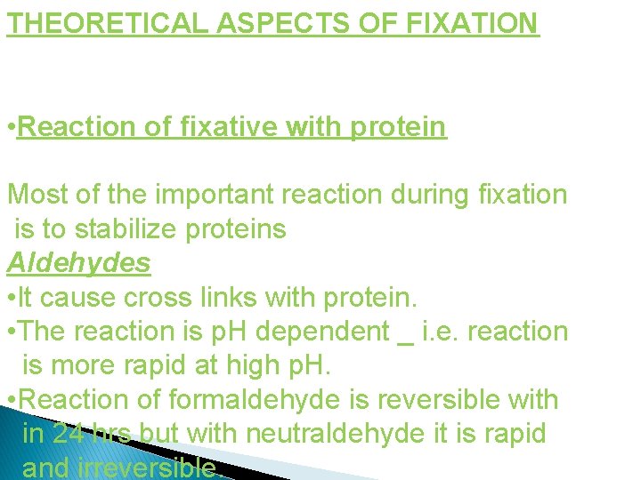 THEORETICAL ASPECTS OF FIXATION • Reaction of fixative with protein Most of the important