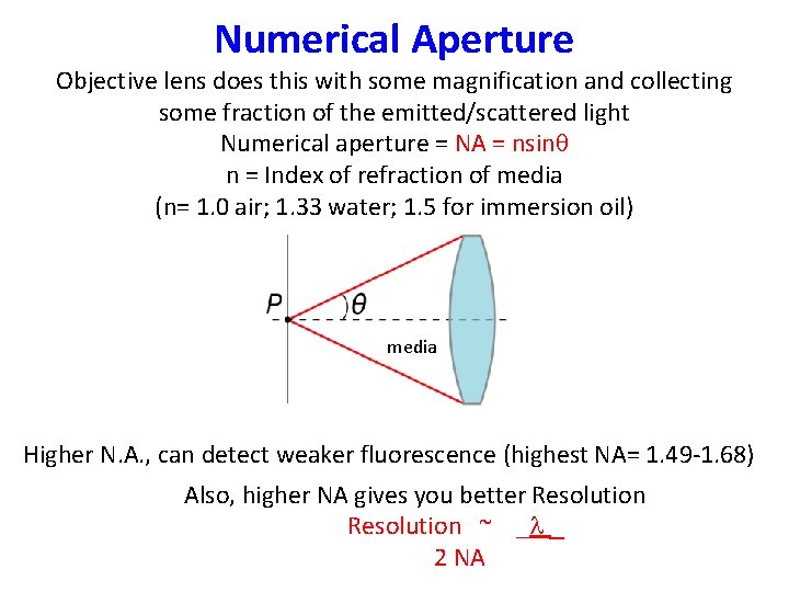Numerical Aperture Objective lens does this with some magnification and collecting some fraction of