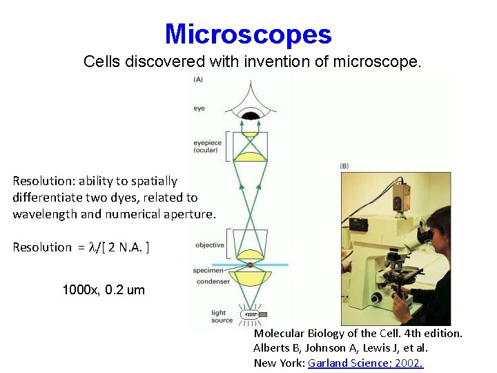 Microscopes Cells discovered with invention of microscope. Or with CCD Resolution: ability to spatially