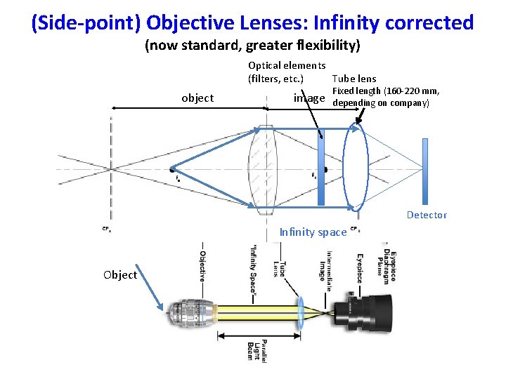 (Side-point) Objective Lenses: Infinity corrected (now standard, greater flexibility) Optical elements Tube lens (filters,