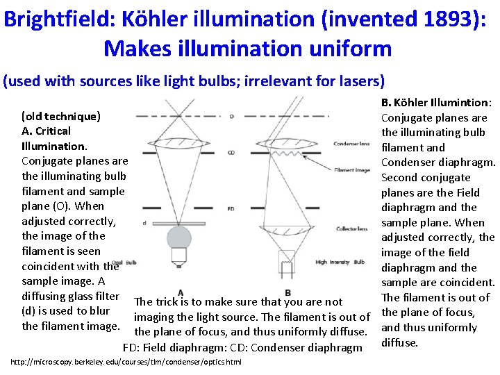 Brightfield: Köhler illumination (invented 1893): Makes illumination uniform (used with sources like light bulbs;