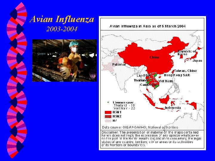 Avian Influenza 2003 -2004 