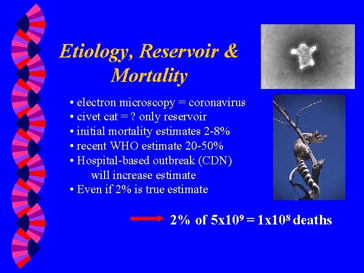 Etiology, Reservoir & Mortality • electron microscopy = coronavirus • civet cat = ?