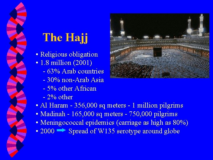 The Hajj • Religious obligation • 1. 8 million (2001) - 63% Arab countries