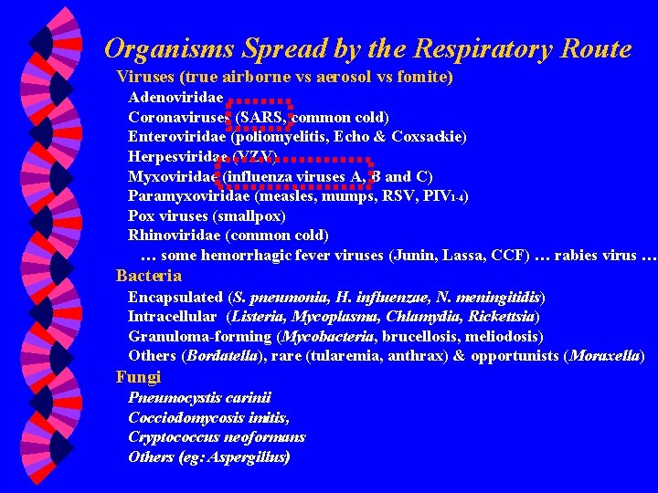 Organisms Spread by the Respiratory Route Viruses (true airborne vs aerosol vs fomite) Adenoviridae