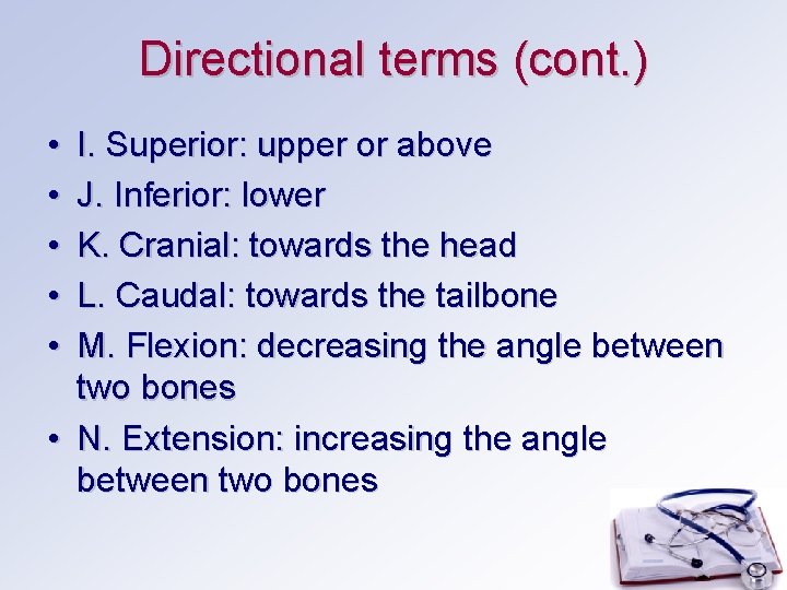 Directional terms (cont. ) • • • I. Superior: upper or above J. Inferior: