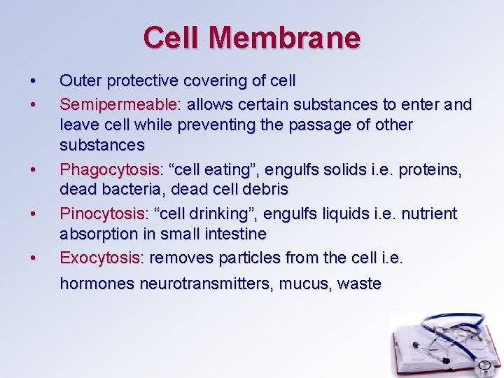 Cell Membrane • • • Outer protective covering of cell Semipermeable: allows certain substances