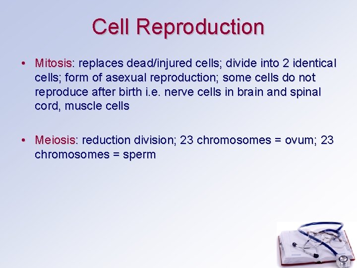 Cell Reproduction • Mitosis: replaces dead/injured cells; divide into 2 identical cells; form of