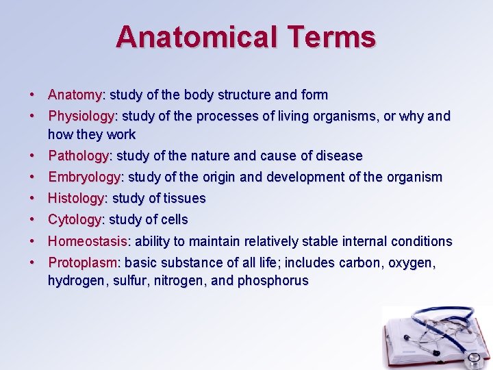 Anatomical Terms • Anatomy: study of the body structure and form • Physiology: study