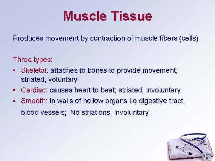 Muscle Tissue Produces movement by contraction of muscle fibers (cells) Three types: • Skeletal: