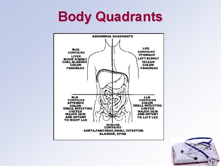 Body Quadrants 