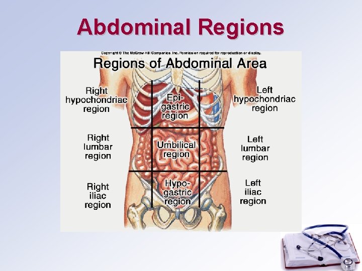 Abdominal Regions 