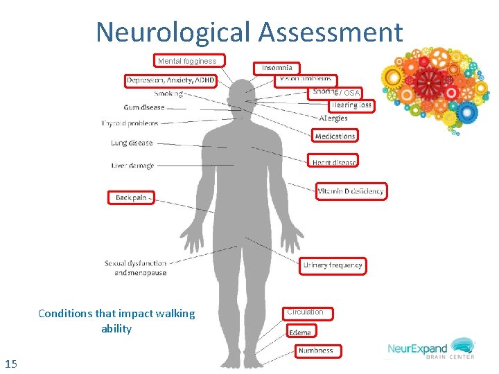 Neurological Assessment Mental fogginess / OSA Conditions that impact walking ability 15 Circulation 