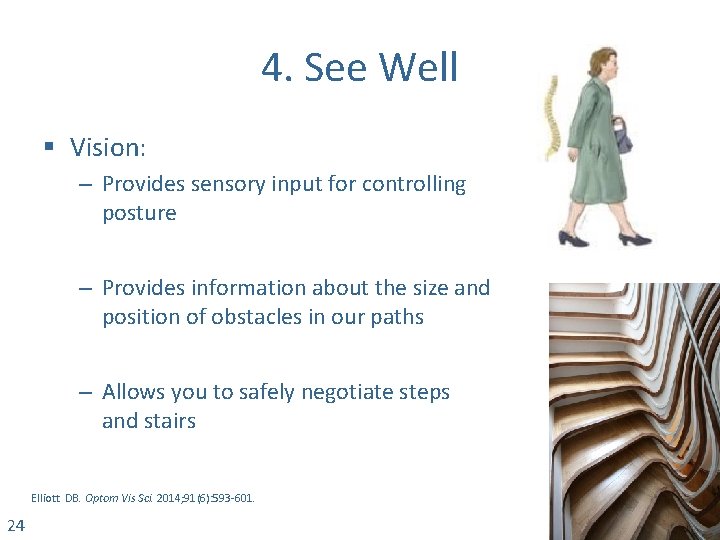 4. See Well § Vision: – Provides sensory input for controlling posture – Provides