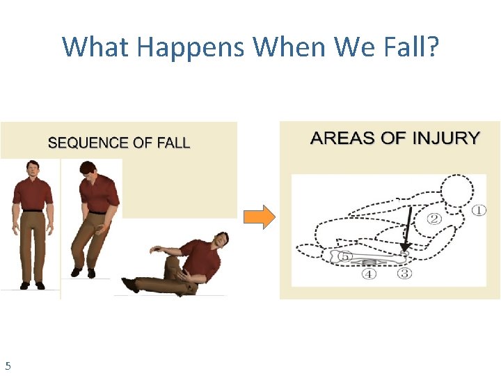 What Happens When We Fall? 5 