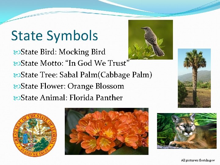State Symbols State Bird: Mocking Bird State Motto: “In God We Trust” State Tree: