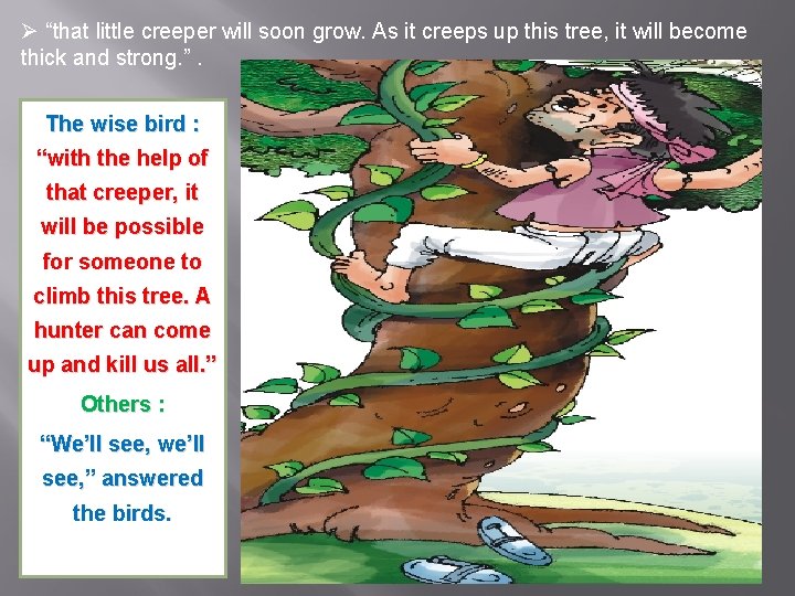 Ø “that little creeper will soon grow. As it creeps up this tree, it