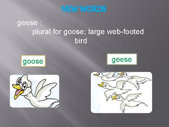 NEW WORDS geese : plural for goose; large web-footed bird goose geese 