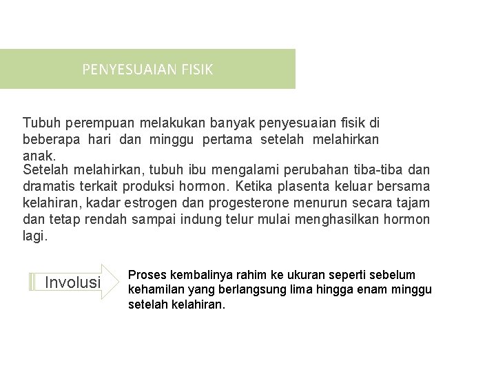 PENYESUAIAN FISIK Tubuh perempuan melakukan banyak penyesuaian fisik di beberapa hari dan minggu pertama