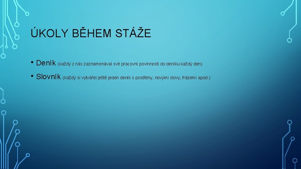 ÚKOLY BĚHEM STÁŽE • Deník (každý z nás zaznamenával své pracovní povinnosti do deníku