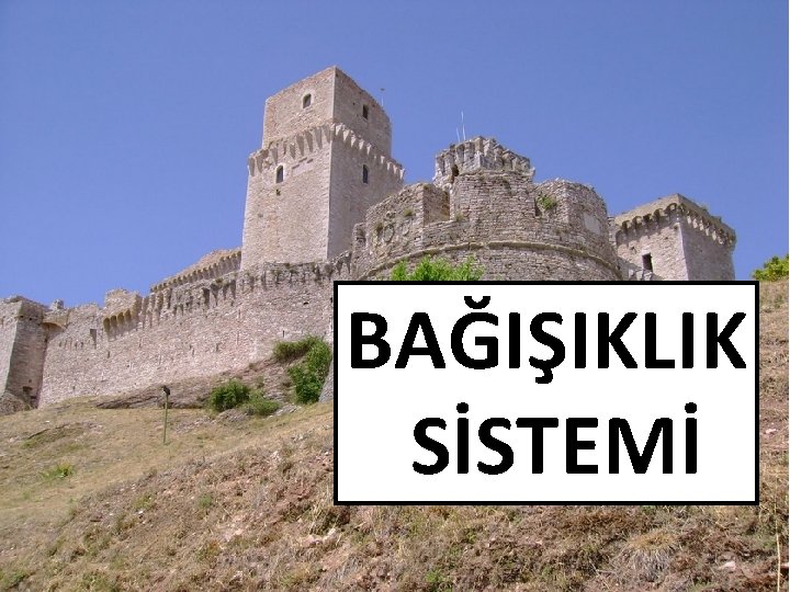 BAĞIŞIKLIK SİSTEMİ 