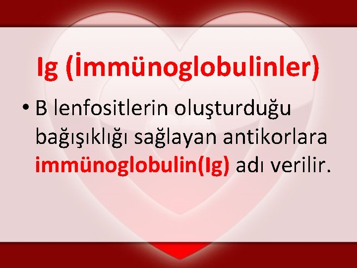 Ig (İmmünoglobulinler) • B lenfositlerin oluşturduğu bağışıklığı sağlayan antikorlara immünoglobulin(Ig) adı verilir. 