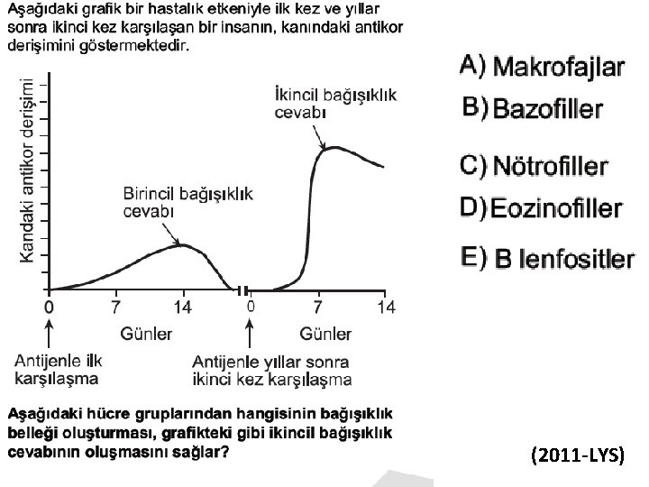 (2011 -LYS) 