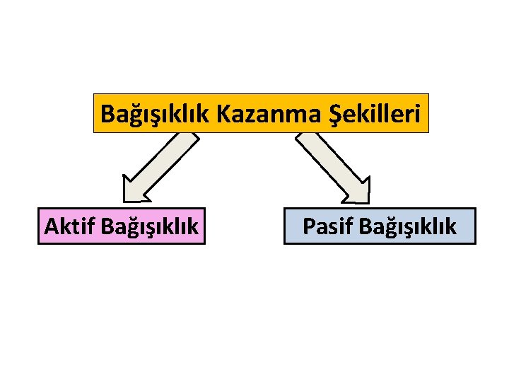 Bağışıklık Kazanma Şekilleri Aktif Bağışıklık Pasif Bağışıklık 