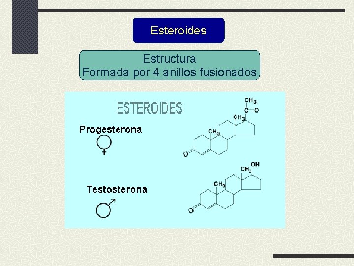 Esteroides Estructura Formada por 4 anillos fusionados 