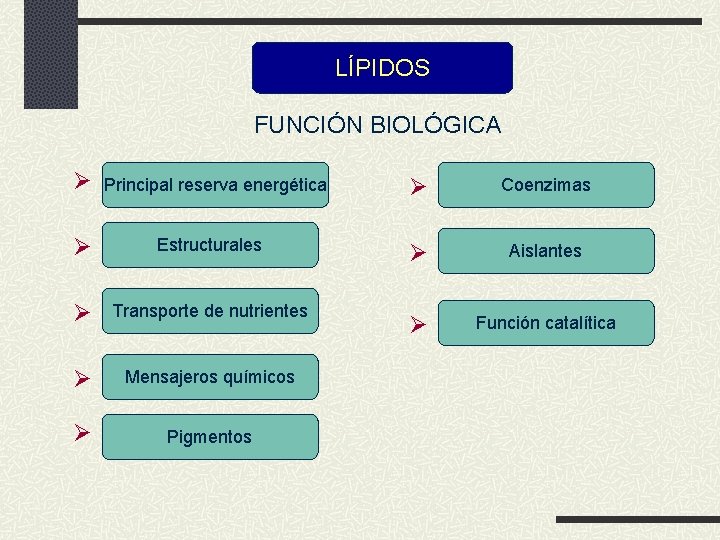 LÍPIDOS FUNCIÓN BIOLÓGICA Principal reserva energética Coenzimas Estructurales Aislantes Transporte de nutrientes Función catalítica